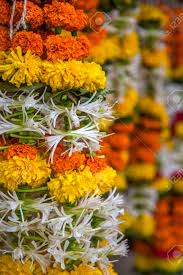 Wedding ceremony ritual traditional jaimala A pair of Marigold garlands