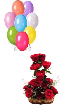 8 coloured Air filled balloons 12 Red Roses basket
