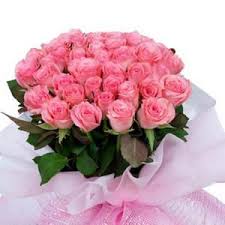 24 Pink roses in a bouquet