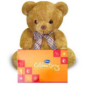 6 inch teddy with celebration combo