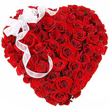 50 Red roses heart