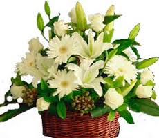 4 white lilies 12 white gerberas basket