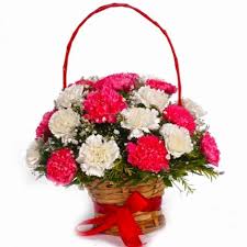 10 carnations in a basket THIS PRODUCT AVAILABLE IN MAJOR CITIES ONLY