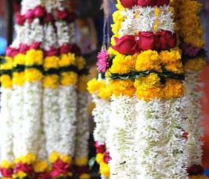 Wedding ceremony ritual traditional jaimala A pair of Marigold garlands
