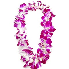 A pair of orchid garlands