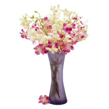 Orchids vase